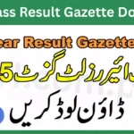 11th Class Result 2025 Gazette Download – All Punjab Boards PDF