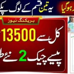 8171 BISP Program Stop? Get Benazir Kafalat 13500 Payment in Digital Wallet 2025 | 3 People Not Eligible