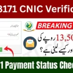 BISP 8171 CNIC Verification Through NADRA 2025 – Official Process & Status Check