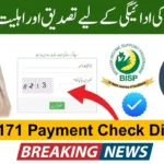 BISP 8171 Payment Check Online Discreet 2025 – SMS Verification Guide