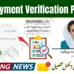 BISP Payment Verification Process Tehsil Offices 2025 – Complete Guide for Beneficiaries