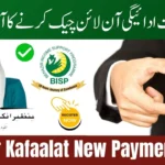 Benazir Kafaalat 2025 New Payment | Check CNIC & Online BISP Balance (Verification Guide)
