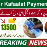 Benazir Kafaalat 13,500 Payment Date Announced – Check Details (2025 Update)