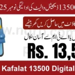 Benazir Kafalat 13500 Digital Wallet November 2025 Payment Release & Eligibility Update