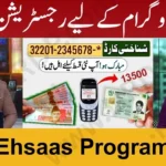 How to Check CNIC Online for 8171 Ehsaas Program 25000 BISP Registration – Latest Update 2025