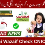BISP 2025 Payment & Taleemi Wazaif – Check CNIC Status & Online Balance